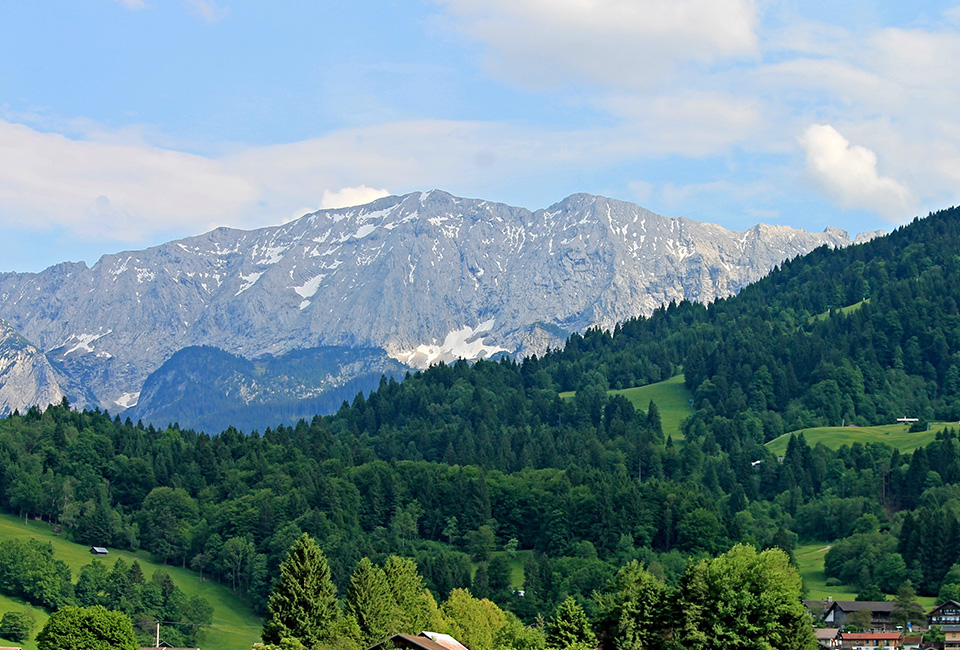 改善情形治理体制